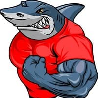 RedShark
